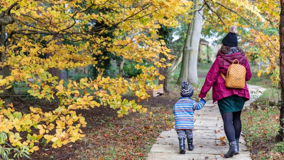 A child and an adult walking hand in hand through an autumnal forest path, wrapped up in warm clothes.