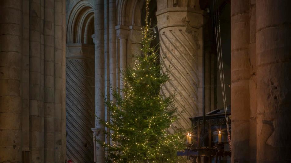 A large Christmas tree standing between big stone columns in Durham Cathedral.
