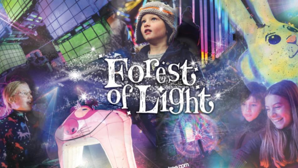 A collage of images of children and adults smiling at illuminated installations. A whimsical font which reads 'Forest of Light.'