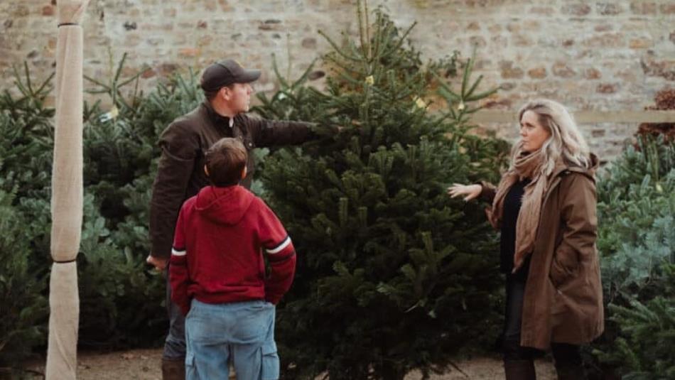 A family looking through a selection of Christmas trees at Raby Castle.