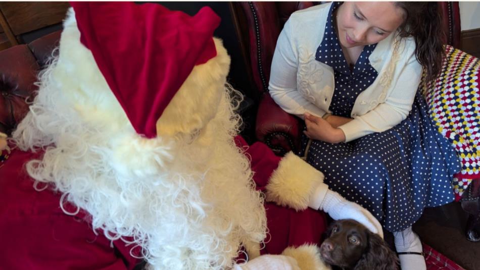 Santa stroking a small brown dog on his lap, a person sit in an arm chair on the right