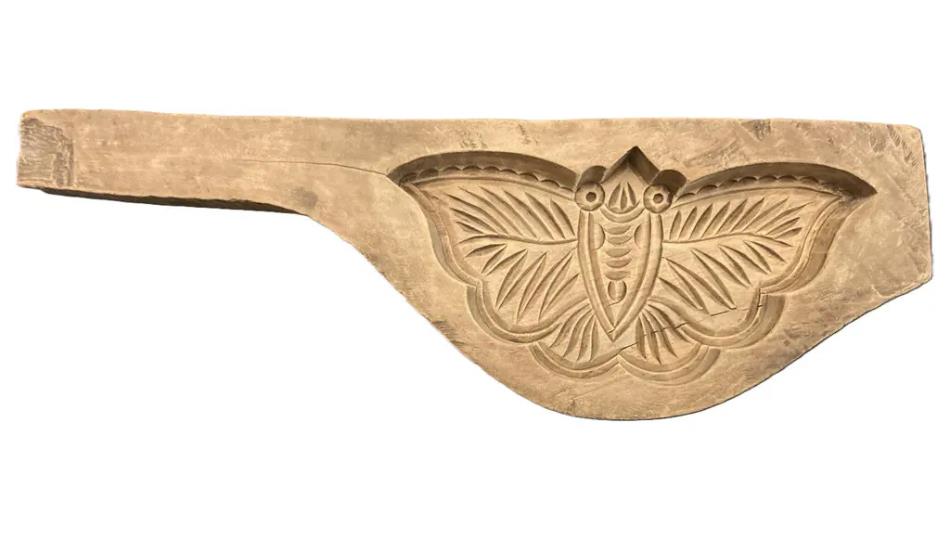 An exhibit of a mould of a butterfly