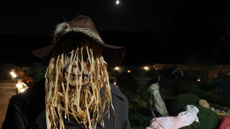 Spooky scarecrow looking sinisterly at the camera at Beamish, at night.