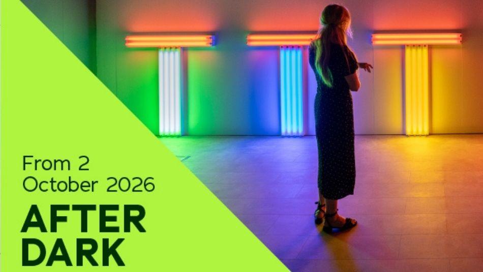 Poster for After Dark social events taking place at The Light, A person standing facing an exhibit.