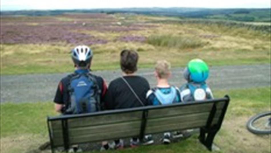 Viewpoint from Cycling on the Waskerley Way