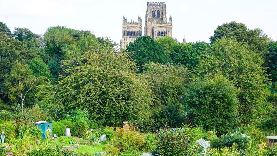 Looking across the allotments to Durham Cathedral