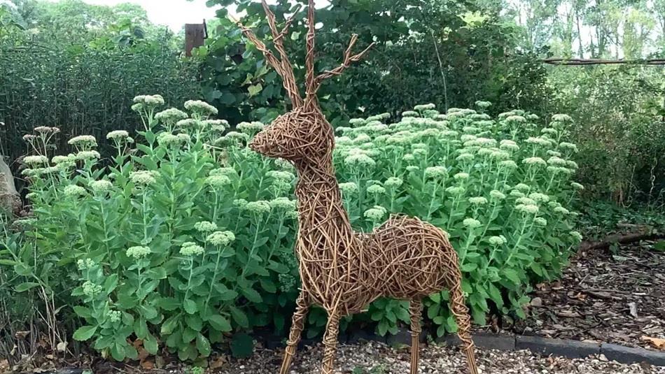 A willow reindeer
