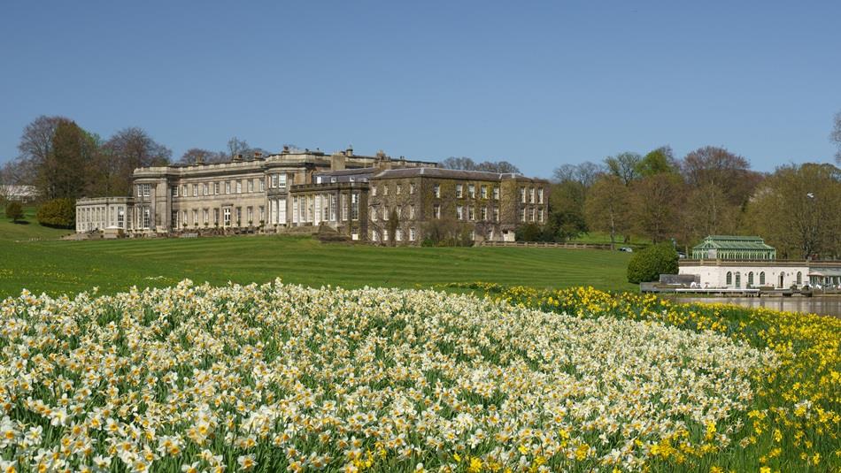 Wynyard Hall and grounds with daffodils in the foreground