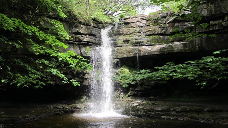 Waterfall at Gibson's Cave, situated nearby to Bowlees Visitor Centre