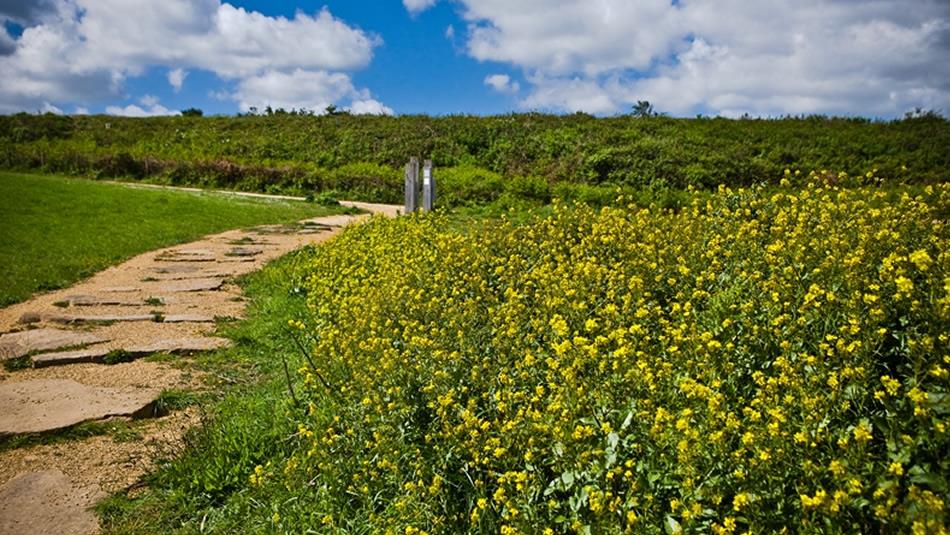 Walking on the Durham Heritage Coast