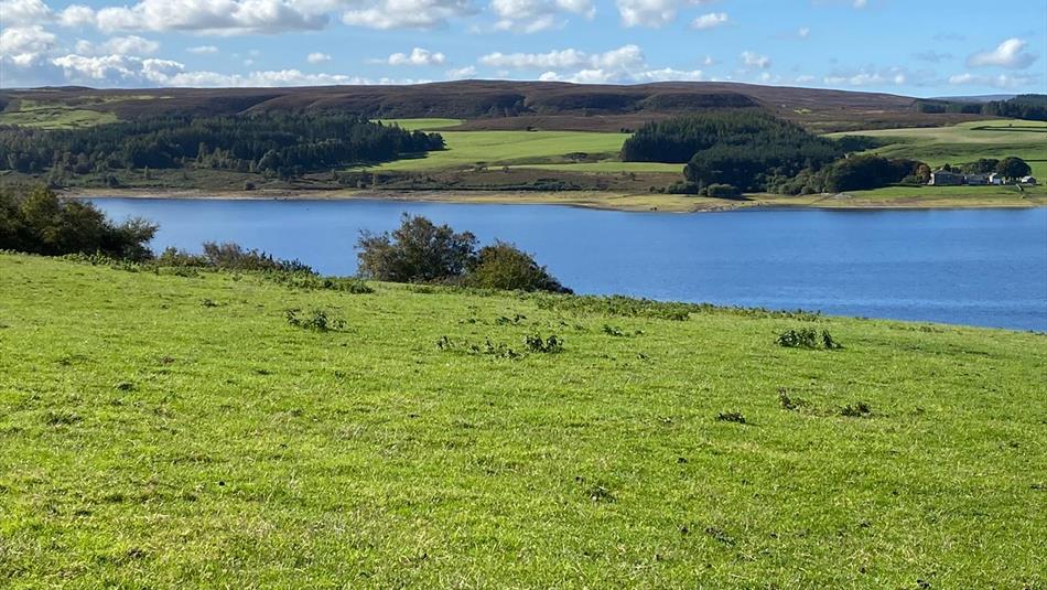 Derwent Reservoir County Durham