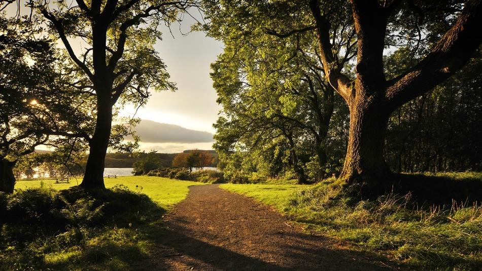 Derwent Reservoir Trout Fishery