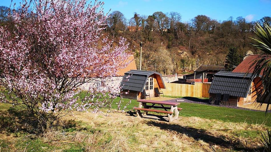 Finchale Abbey Camping Pods Durham