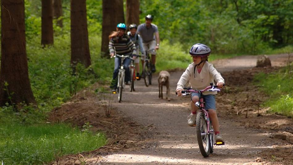 Family cycling