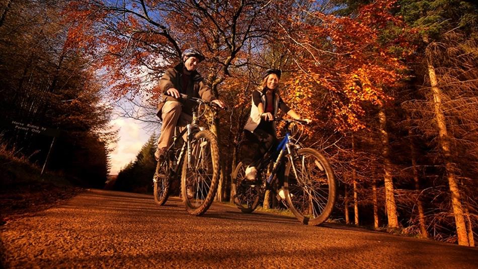 Cycling at Hamsterley Forest