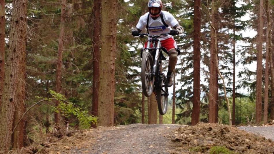 Hamsterley Forest - Black Cycle Trail