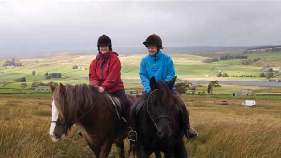 Horse Riding: Blanchland Packhorse Trail - Horse