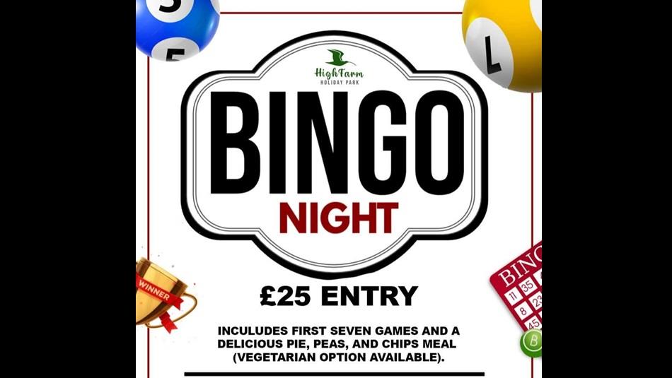 Advertising poster with wording Bingo Night, entry fee and illustrations of bingo balls and card