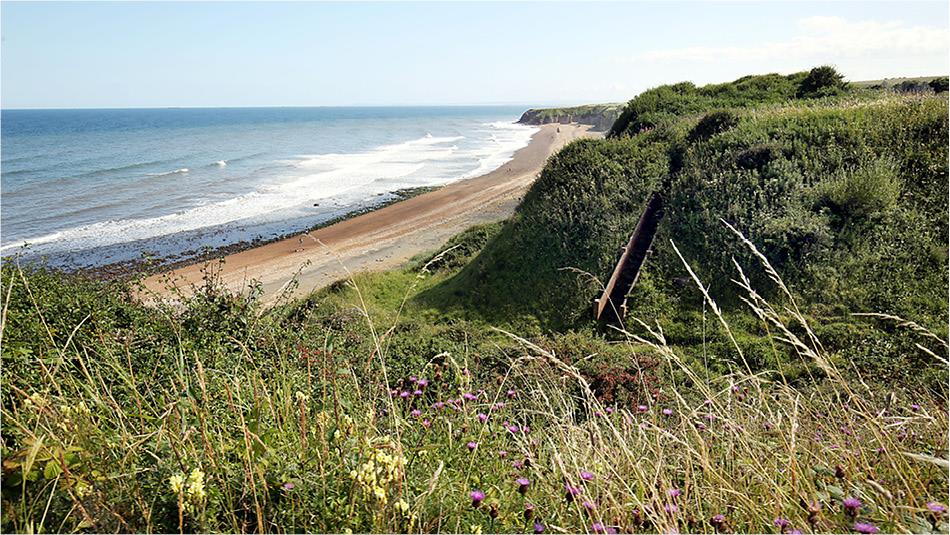 View of Nose's Point