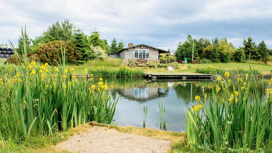 Sharpley Springs Fly Fishery