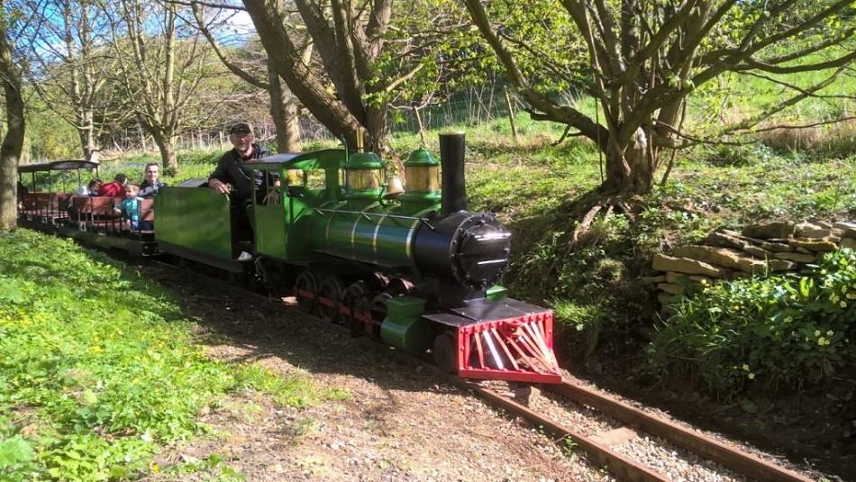 Train on the Thorpe Light Railway