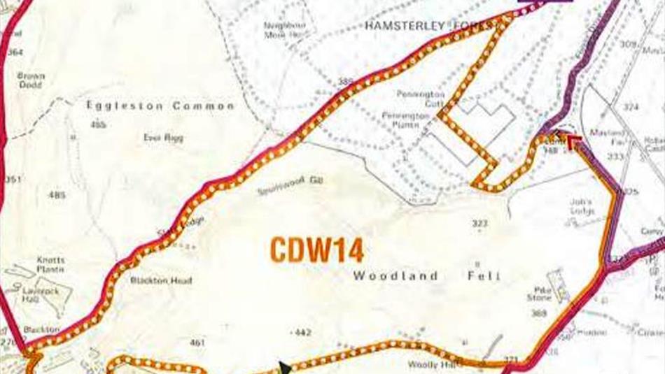 Woodland Fell Circular Cycle Route