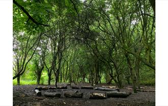 Rainton Meadows Nature Reserve and Visitor Centre