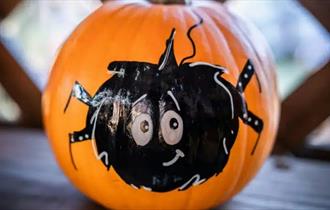 A pumpkin decorated with a painting of a spider