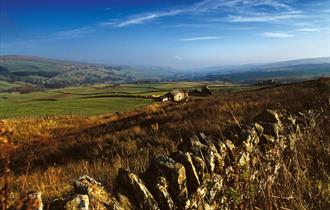 Wolsingham Family Walk