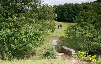 The Teesdale Challenge Walks