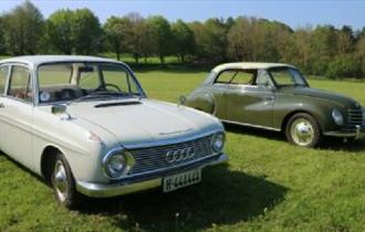Old-fashioned white Audi and green Beatle car on lawn.