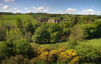 view of Eggleston Abbey