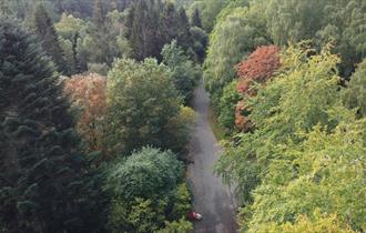 Aerial view of Hamsterley Forest