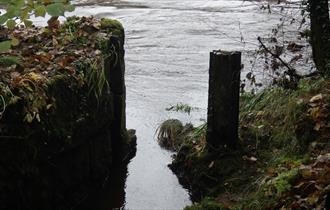 Riverside path