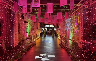 Playing cards suspended from beams in an illuminated, colourful tunnel