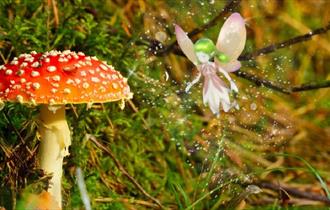 Red toad stall in grass. Fairy graphic on the right.