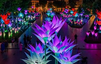 Gigantic illuminated flowers in various colours.  Elysium Garden - Jigantics (UK)