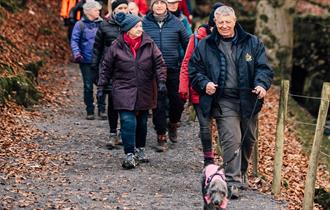 A group walking at High Force with their dog.