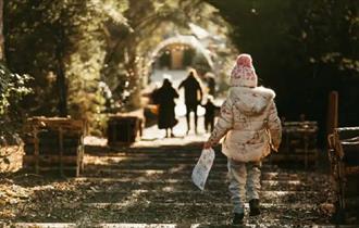 A little girl walking through The Plotter's Forest, other families can be seen in the distance enjoying the trail.