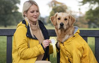 A woman sitting on a bench with a golden retriever in matching yellow coats