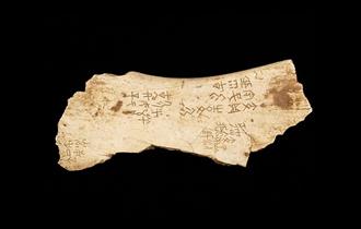 Oracle Bone