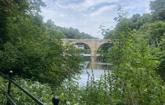 View of the riverbanks towards Prebends Bridge.