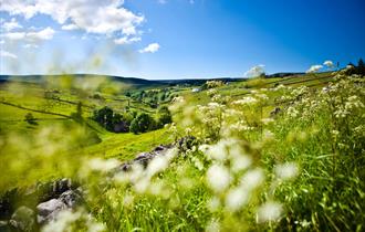 Pennine Journey - Durham Section