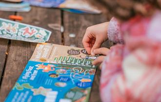 Closeup of a child pointing working through a Zog Christmas Trail leaflet. Credit Forestry England Crown Copyright