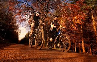 Cycling at Hamsterley Forest