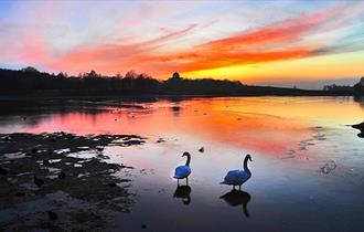 Hardwick Park at sunset