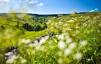 Walking in the North Pennines