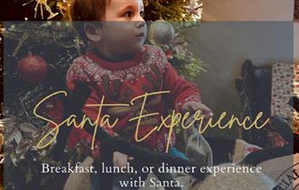 Text reads, 'Santa Experience'. An infant in a Christmas jumper in front of a tree.