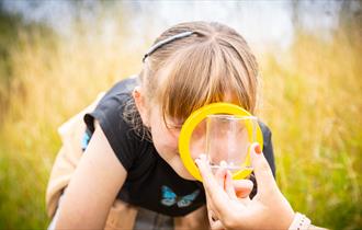 Girl looking through a magnifying glass into a bug pot