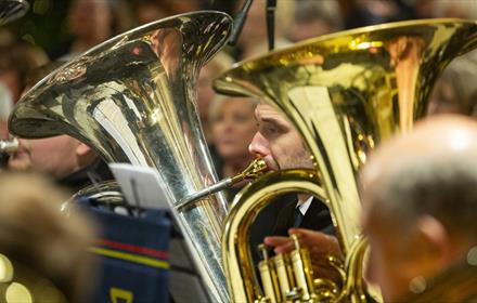 Close up view of people playing brass instruments.